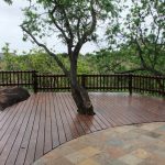 deckiing 1 005 - Copy - Copy